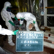 下水処理場内焼却施設撤去工事